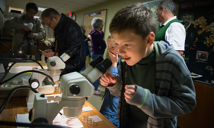 A young visitor to Science Under the Stars views ants through a microscope. Photo by Vivian Abigiu.
