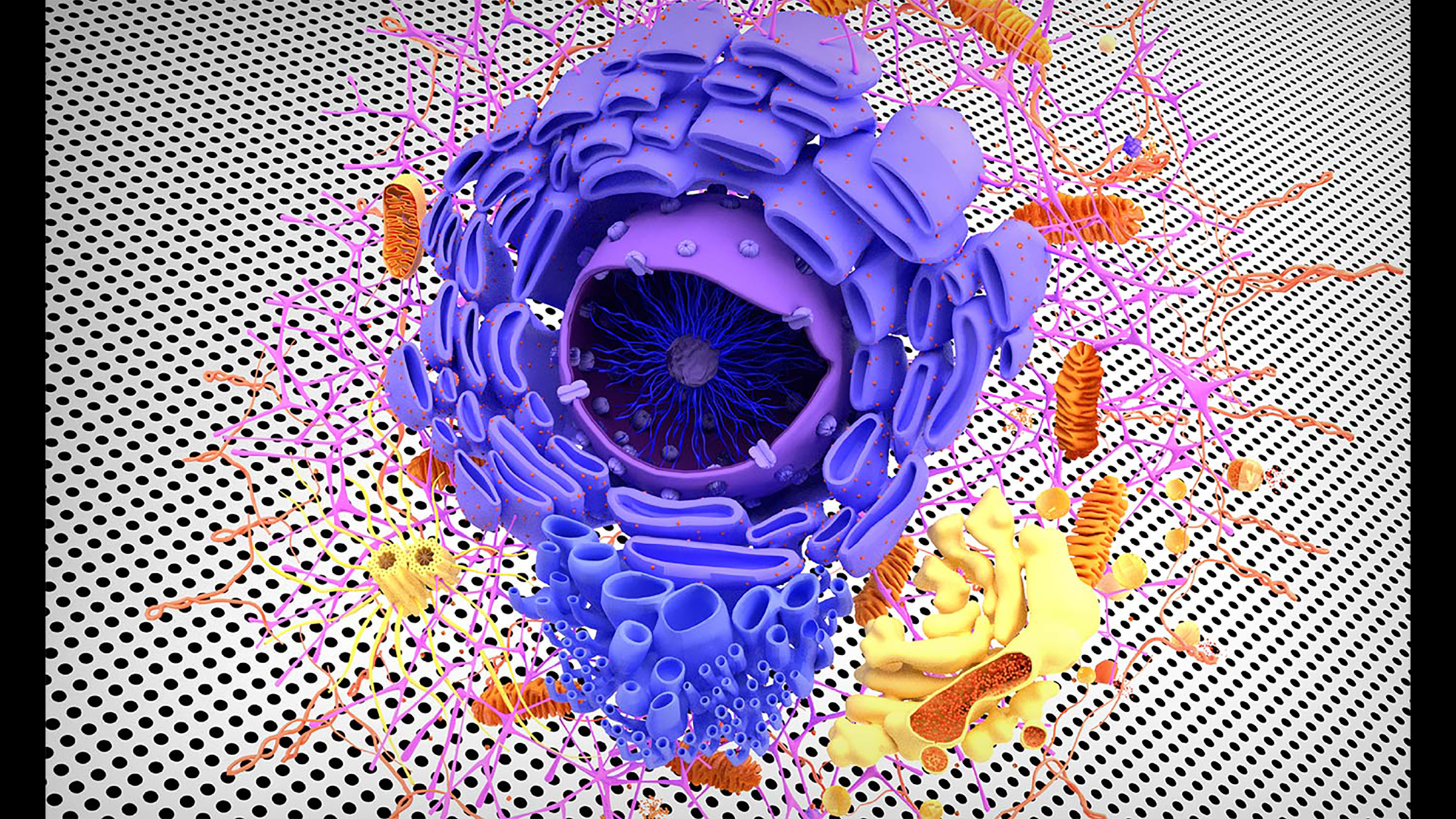 Illustration of a biological cell