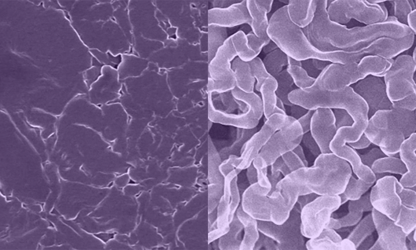 Microscope images of the surface of two materials, one with noodle-like lumps and the other much smoother