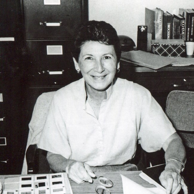 Casual, black and white portrait of a woman sitting at a desk in an office